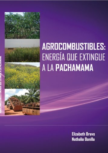 Agrocombustibles: Energía que extingue a la Pachamama