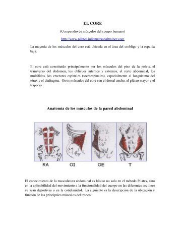 EL CORE Anatomía de los músculos de la pared ... - sobre Pilates