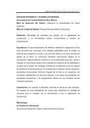 Extensivo 2. Vivienda autorizada - Universidad de Quintana Roo