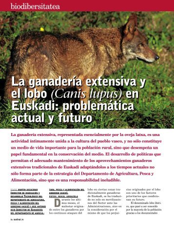 La ganadería extensiva y el lobo (Canis lupus) en Euskadi ...