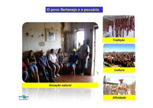 Pecuária extensiva - Clube de Engenharia de Pernambuco