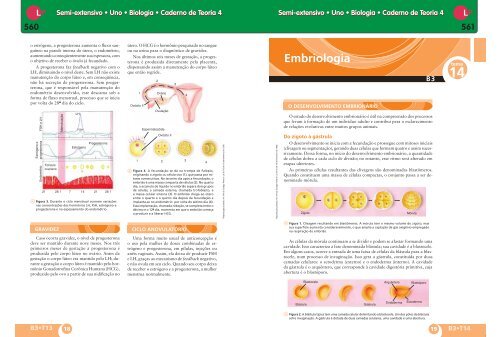 Semi-extensivo • Uno • Biologia • Caderno de Teoria 4 Semi ...