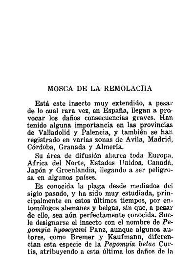 MOSCA DE LA REMOLACHA Está este insecto muy extendido, a ...