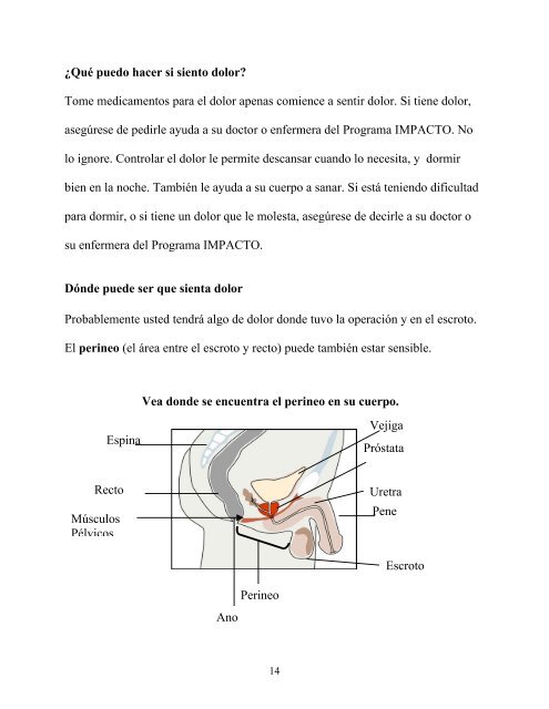 El regreso a casa después de la cirugía de cáncer de próstata