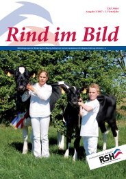 Rind im Bild - Rinderzucht Schleswig-Holstein e.G.