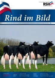 // Rind im Bild 2/2011 1 - Rinderzucht Schleswig-Holstein e.G.