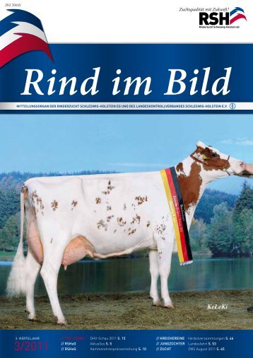 // Rind im Bild 3/2011 1 - Rinderzucht Schleswig-Holstein e.G.