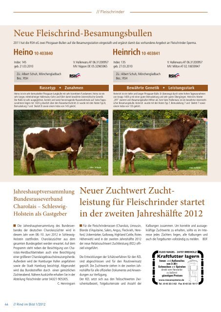 // Rind im Bild 1/2012 1 - Rinderzucht Schleswig-Holstein e.G.