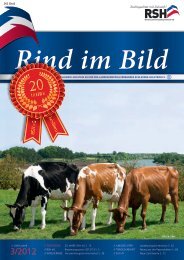 // Rind im Bild 3/2012 1 - Rinderzucht Schleswig-Holstein e.G.