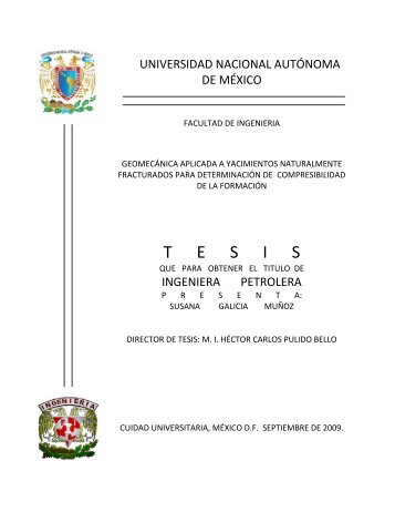 T      E      S      I      S - UNAM