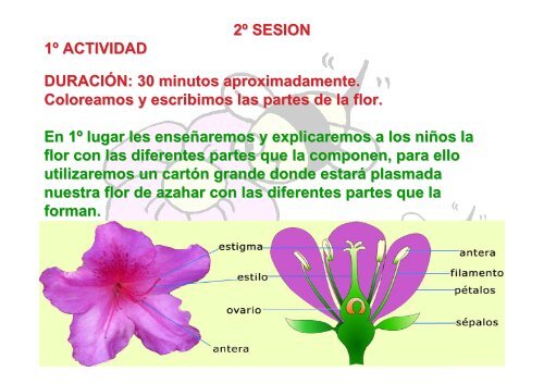 apicultura trabajo.pdf - apiculturanaescola