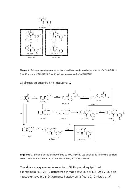 BASES MOLECULARES DEL DOLOR NEUROPÁTICO: UNA ...