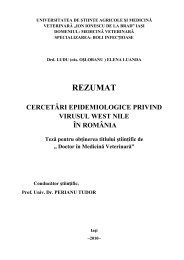 rezumat teză [RO] - Ion Ionescu de la Brad