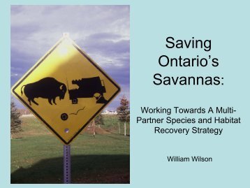 Saving Ontario's Savannas: - Tallgrass Ontario