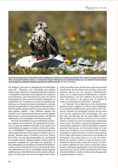 Revista Nº 20 El indiferente (PDF) - Villa de La Orotava