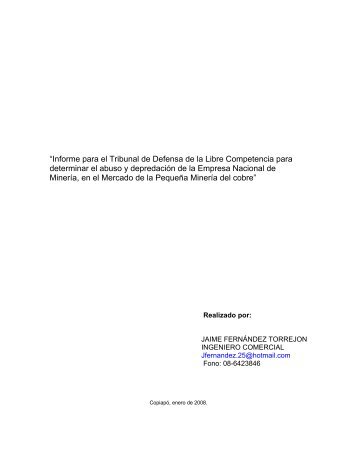 Informe J. Fernández Torrejón.pdf - Tribunal de Defensa de la Libre ...