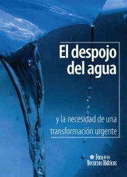 El despojo del agua - Red Vida