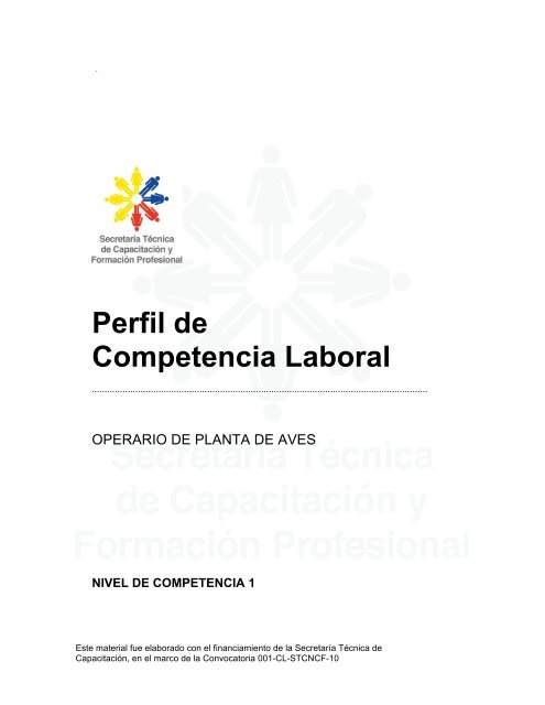 Perfil de Competencia Laboral - Setec