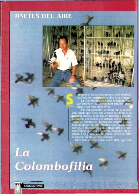 año13/ n°85 / octubre 1995 - caena