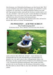 TO PINGSTEN – ACH WIE SCHEUN - Ruder-Gesellschaft Lauenburg