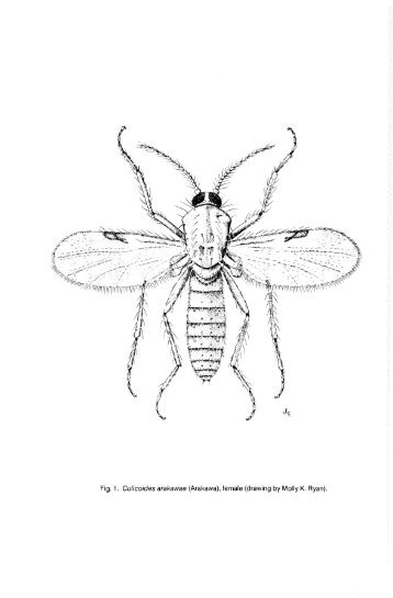 The Culicoides of Southeast Asia (Diptera: Ceratopogonidae).