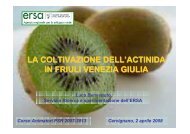 La coltivazione dell'actinidia in FVG - Ducato dei Vini Friulani