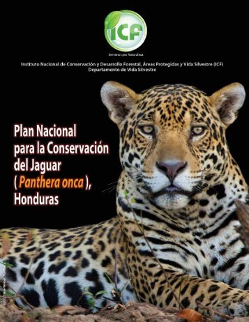 Plan Nacional para la Conservación del Jaguar en ... - Panthera