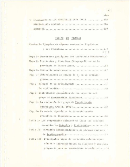 el documento - Biblioteca Digital FCEN-UBA - Universidad de ...