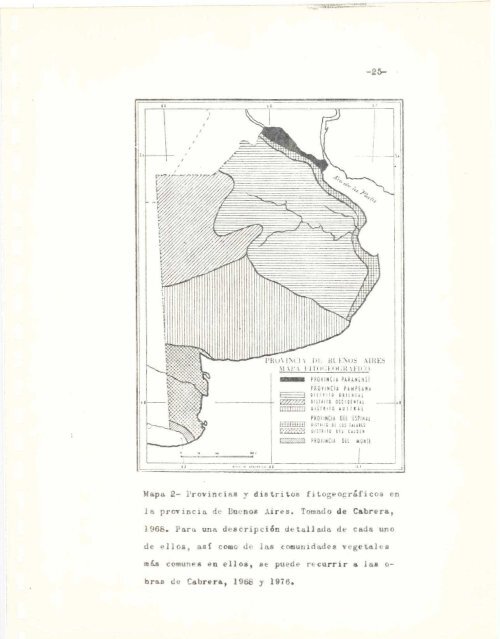 el documento - Biblioteca Digital FCEN-UBA - Universidad de ...