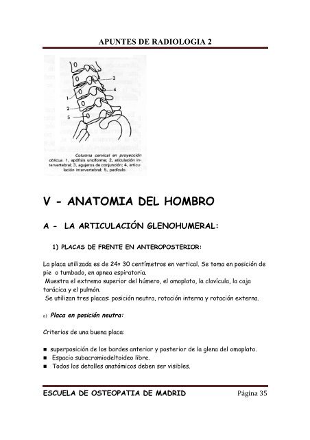 APUNTES DE RADIOLOGIA 2 - Aula virtual - Escuela de Osteopatia ...