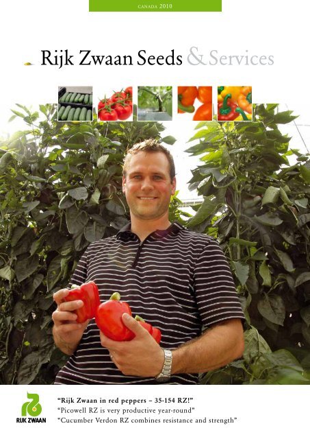 Rijk Zwaan in red peppers – 35-154 RZ! - Terralink Horticulture