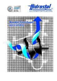 BOMBAS CENTRIFUGAS PARA SOLIDOS - Hidrostal-Perú