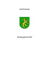 Stadt Rudolstadt Beteiligungsbericht 2008