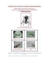 checklist of bot flies (insecta: diptera: oestridae) - Zoological Survey ...