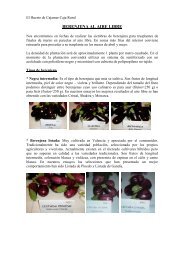 Boletín nº 53. Berenjena al aire libre. (04.02.2013) (PDF 1,88 MB.)