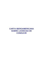 Carta Iberoamericana sobre licencias de conducir - Cenapra