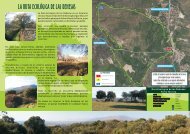 Folleto de la Ruta Ecológica de las Dehesas - Turismo Cabanillas ...