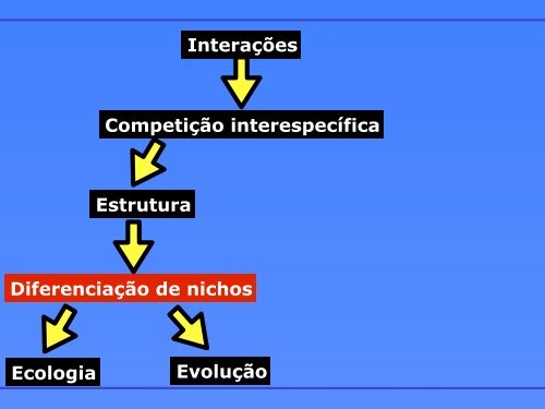 3. Evidências