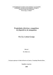 Granja(2008) - Laboratorio Tandar - Comisión Nacional de Energía ...