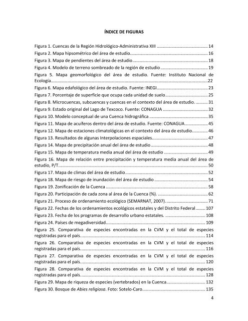 Estudio para la Caracterización y Diagnóstico del ... - Semarnat