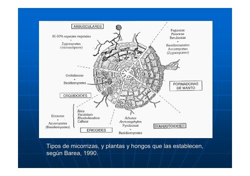 Imágenes sobre factores bióticos