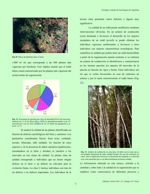 Dinámica de la Regeneración de Lenga \(Nothofagus ... - SeDiCI