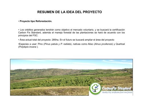 PROYECTO DE REFORESTACION Y CAPTURA DE ... - AdapCC