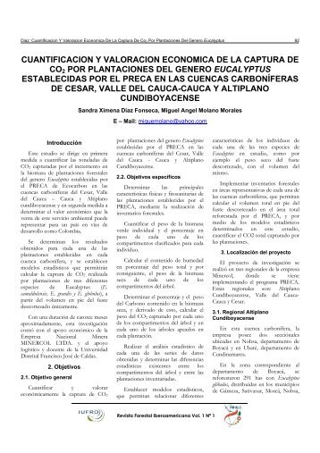 Cuantificación y valoración económica de la captura de CO