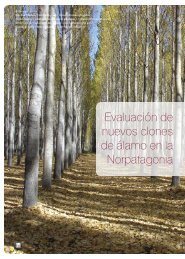 Evaluación de nuevos clones de álamo en la Norpatagonia - INTA