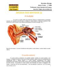 ÓRGÃOS DOS SENTIDOS (2) A Audição - Unificado