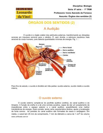 ÓRGÃOS DOS SENTIDOS (2) A Audição - Unificado