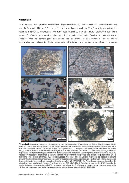 PROGRAMA GEOLOGIA DO BRASIL Contrato CPRM- UFPA Nº