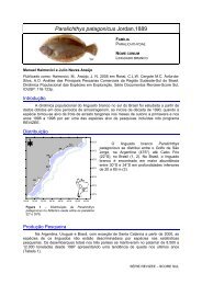 Paralichthys patagonicus Jordan,1889 - Demersais.furg.br - Furg