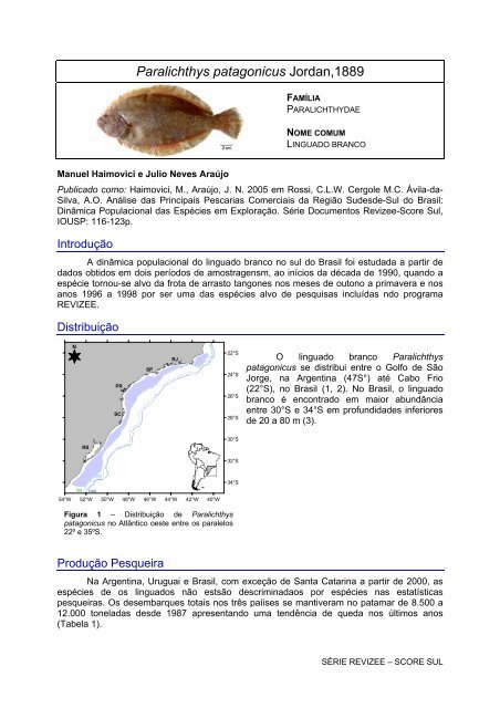 Paralichthys patagonicus Jordan,1889 - Demersais.furg.br - Furg